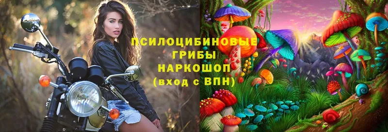 Псилоцибиновые грибы ЛСД  Хабаровск 